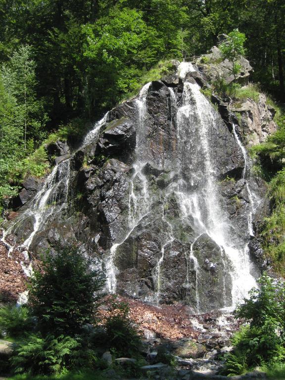 Harz Blick Lägenhet Braunlage Rum bild