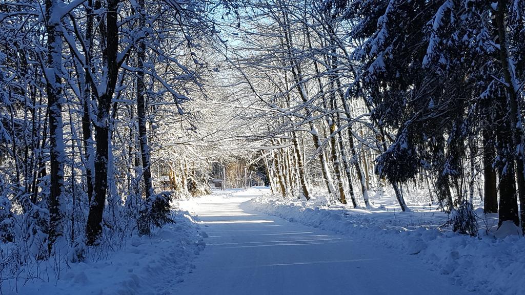 Harz Blick Lägenhet Braunlage Exteriör bild