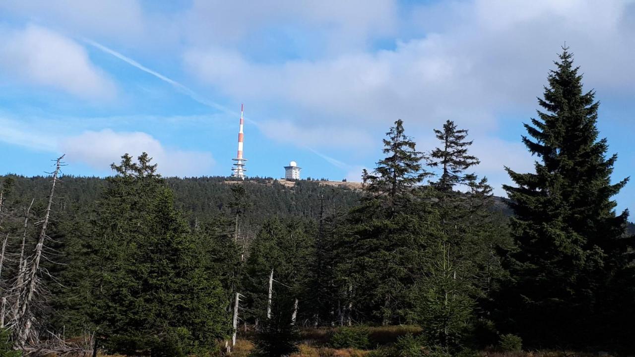 Harz Blick Lägenhet Braunlage Exteriör bild